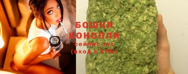 дурь Краснослободск