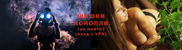 дурь Краснослободск