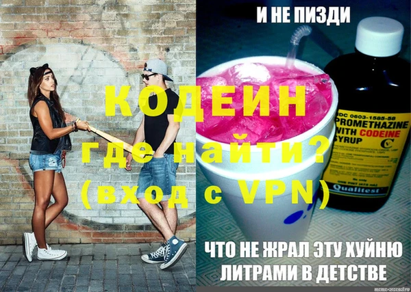 дурь Краснослободск