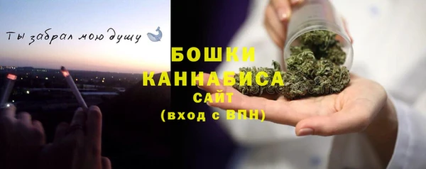 дурь Краснослободск