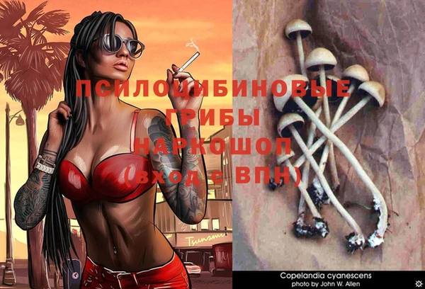 гидропоника Красноперекопск