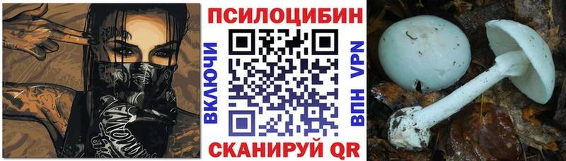 Псилоцибиновые грибы GOLDEN TEACHER  Купить закладки  Ворсма 